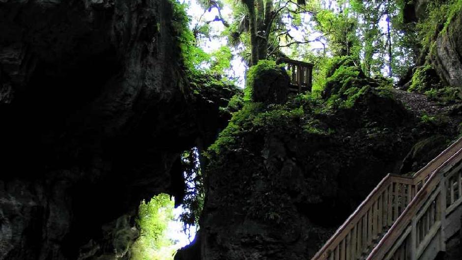  Waitomo Caves is listed among the top attractions in NZ. Its unique glowworms make it a wonder of the world. Kiwi House is the place to see a true kiwi bird.